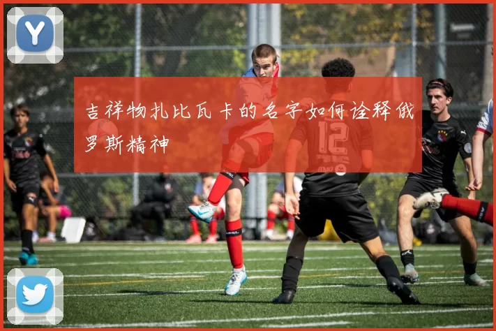 吉祥物扎比瓦卡的名字如何诠释俄罗斯精神