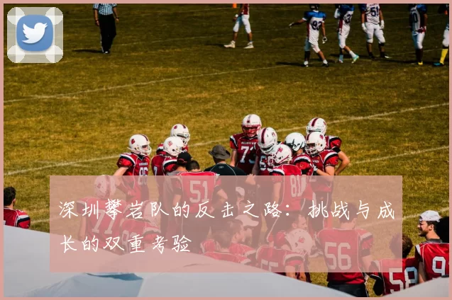 深圳攀岩队的反击之路:挑战与成长的双重考验