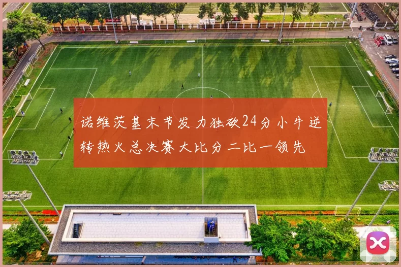 诺维茨基末节发力独砍24分小牛逆转热火总决赛大比分二比一领先