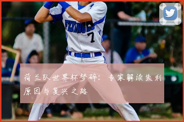 荷兰队世界杯梦碎:专家解读失利原因与复兴之路