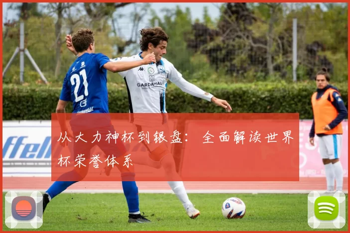 从大力神杯到银盘：全面解读世界杯荣誉体系