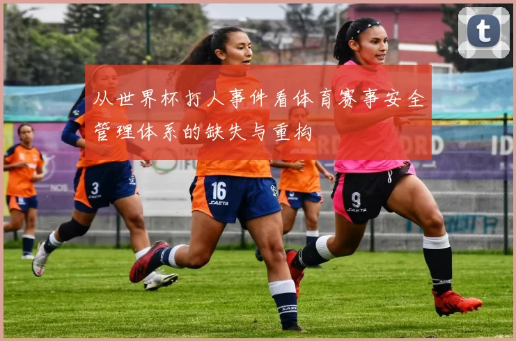 从世界杯打人事件看体育赛事安全管理体系的缺失与重构
