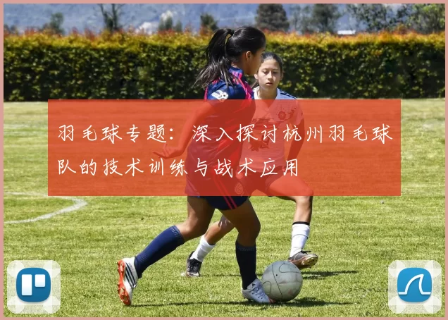 羽毛球专题:深入探讨杭州羽毛球队的技术训练与战术应用
