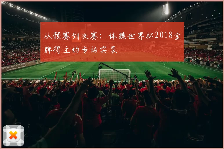 从预赛到决赛：体操世界杯2018金牌得主的专访实录