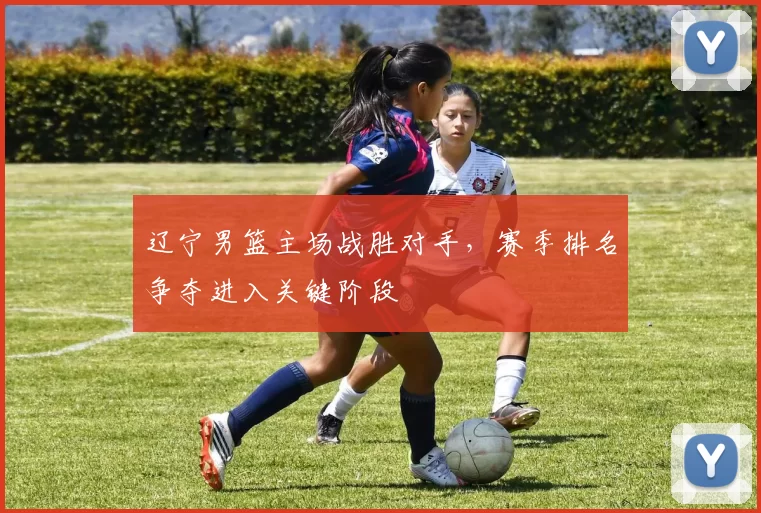 辽宁男篮主场战胜对手,赛季排名争夺进入关键阶段