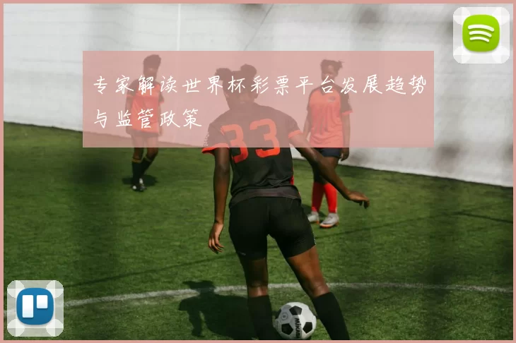 专家解读世界杯彩票平台发展趋势与监管政策