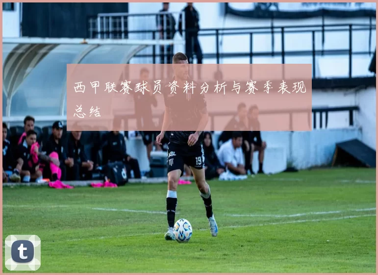 西甲联赛球员资料分析与赛季表现总结