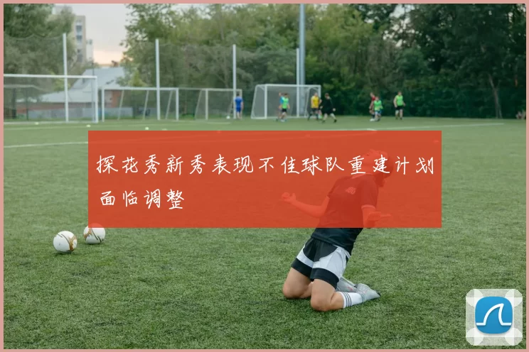 探花秀新秀表现不佳球队重建计划面临调整