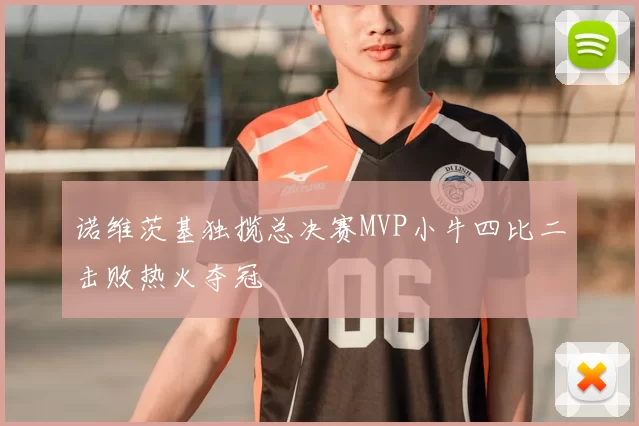 诺维茨基独揽总决赛MVP小牛四比二击败热火夺冠