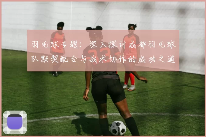 羽毛球专题:深入探讨成都羽毛球队默契配合与战术协作的成功之道