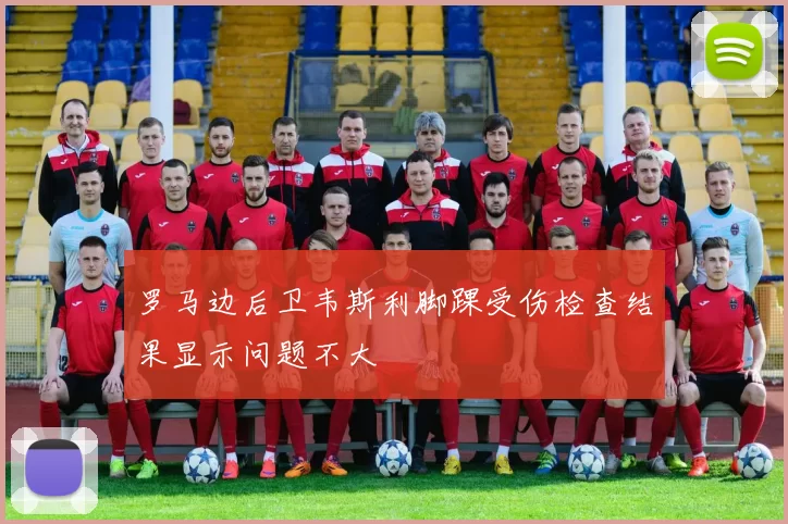罗马边后卫韦斯利脚踝受伤检查结果显示问题不大