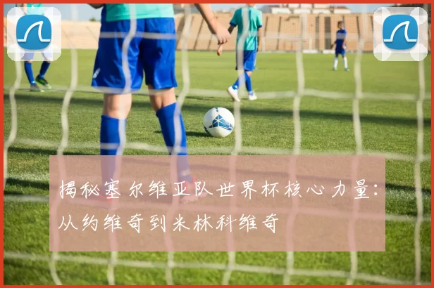 揭秘塞尔维亚队世界杯核心力量:从约维奇到米林科维奇