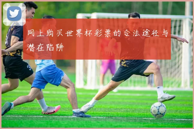 网上购买世界杯彩票的合法途径与潜在陷阱