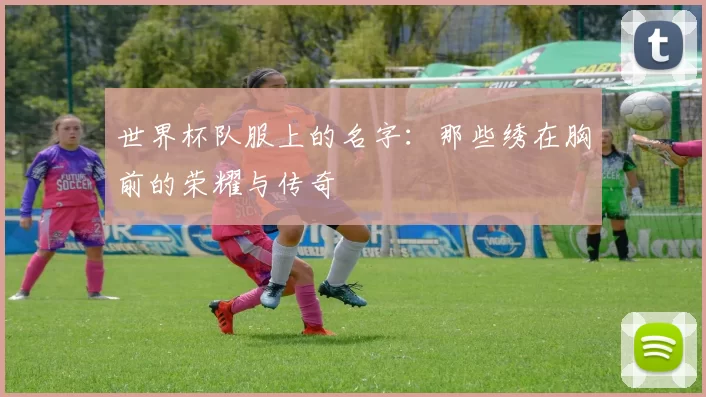 世界杯队服上的名字:那些绣在胸前的荣耀与传奇