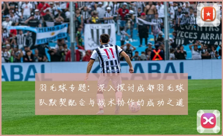 羽毛球专题:深入探讨成都羽毛球队默契配合与战术协作的成功之道
