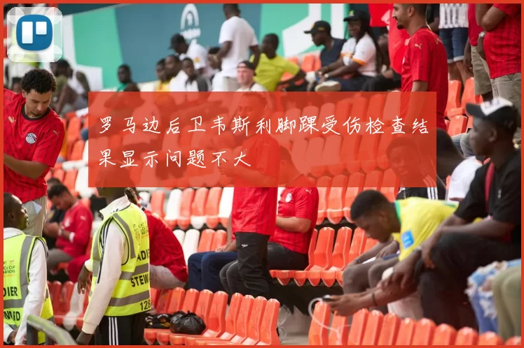 罗马边后卫韦斯利脚踝受伤检查结果显示问题不大