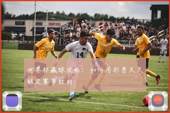 世界杯赢球攻略：如何用彩票天天锁定赛事红利