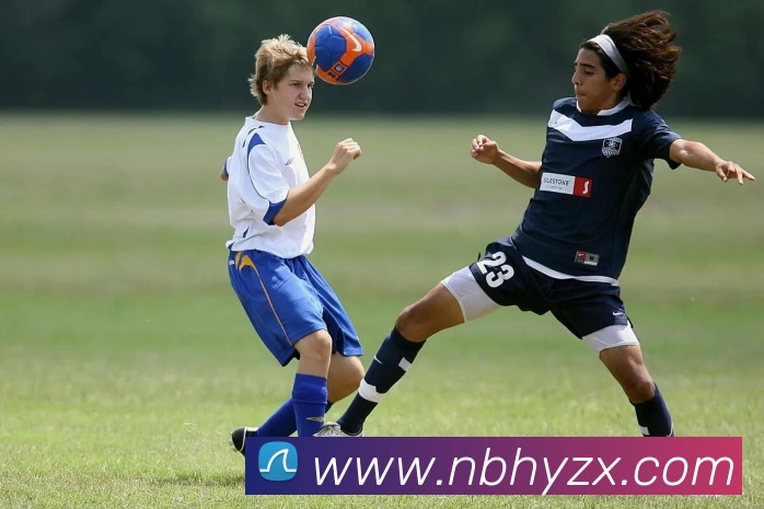 爱游戏平台生态图